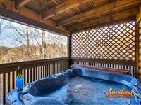 Pet Friendly Cabin - hot tub